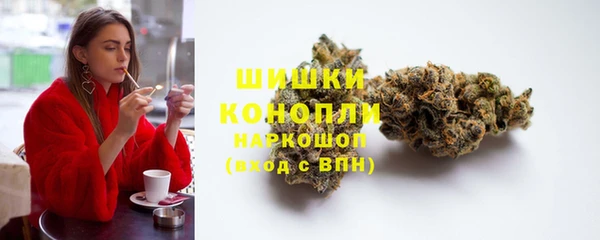 скорость Вяземский