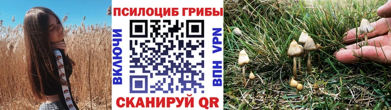 Галлюциногенные грибы Magic Shrooms  Вичуга 